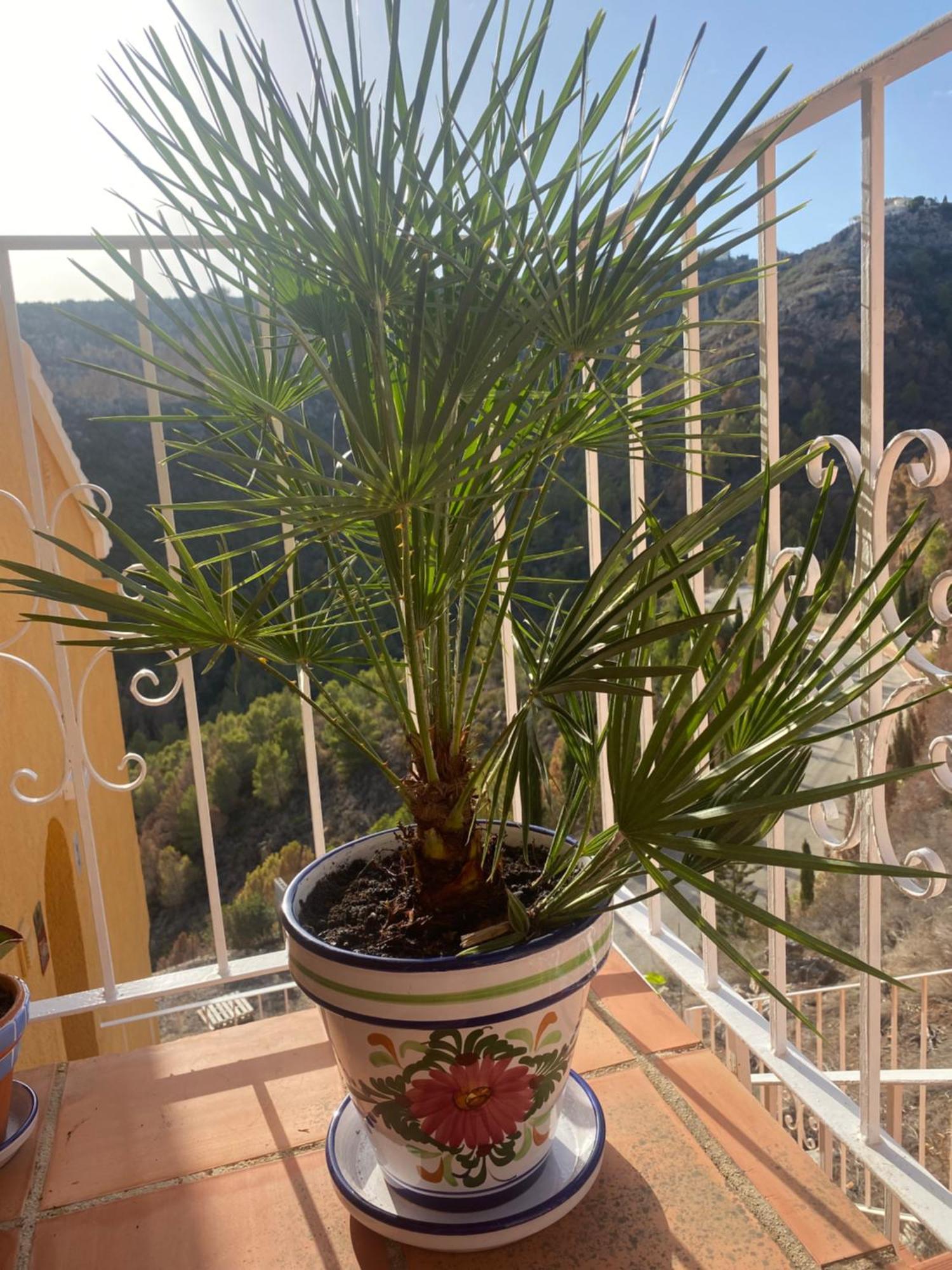 Apartmán Marcella, Cumbre del Sol Esterno foto
